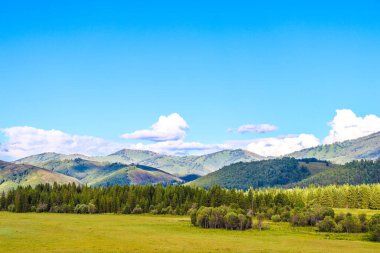 Kazakistan dağlarındaki en güzel yaz.