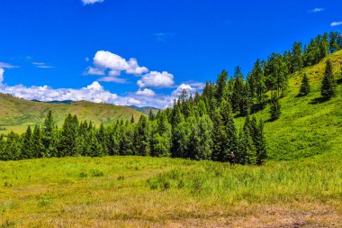 Mavi gökyüzü ve bulutlarıyla güzel yeşil bir manzara.