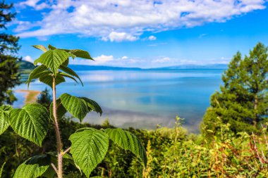 Markakol Gölü, Doğu Kazakistan 'da garip bir yer.