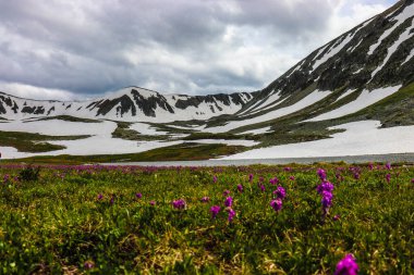 Kazakistan, Ridder 'de kar kaplı dağları olan güzel manzaralar.