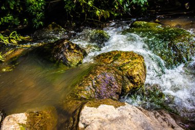 Ormanda güzel bir şelale.