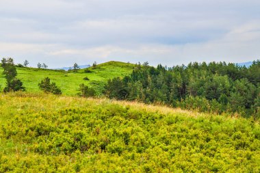 Dağlı yaz manzarası