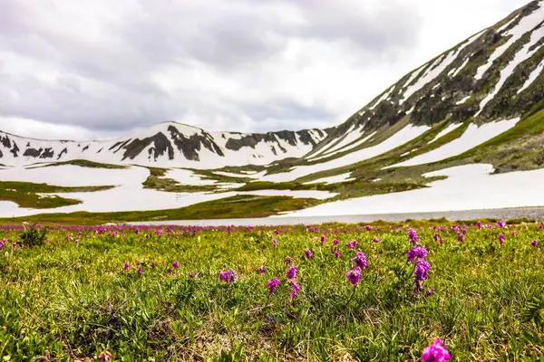 Kazakistan, Ridder 'de kar kaplı dağları olan güzel manzaralar.