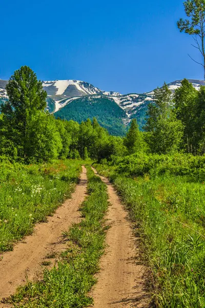 Bir yaz günü Ridder dağlarında yol