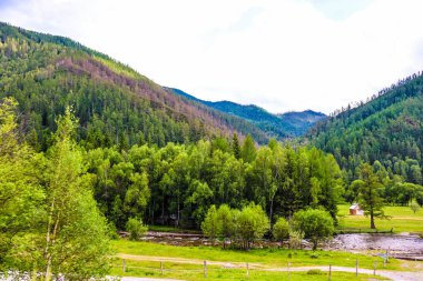 Yazın Altai 'nin yüksek dağları