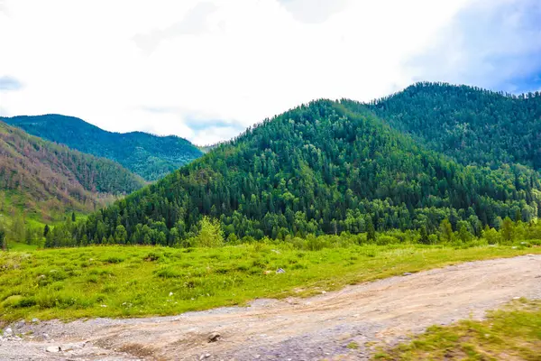 Yazın Altai 'nin yüksek dağları