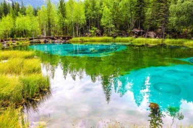 Rusya, Altai 'deki gayzer gölü
