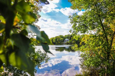 güneşli bir sonbahar ormanda