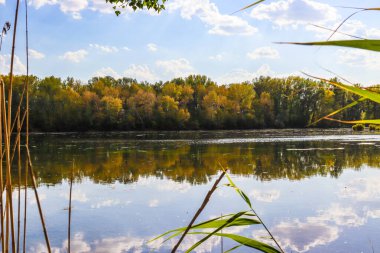 Sonbahar manzarası. Önünde ağaçlar ve mavi gökyüzü olan nehir. Ekim 'de sonbahar manzarası.
