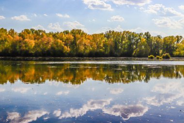 Ağaçlar ve yapraklarla dolu güzel sonbahar manzarası