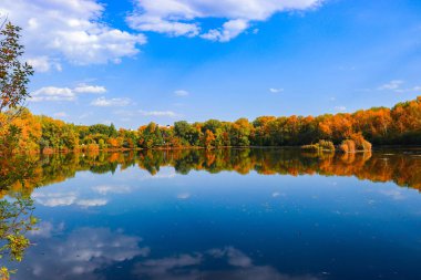 Sonbahar ormanındaki gölün yansıması.