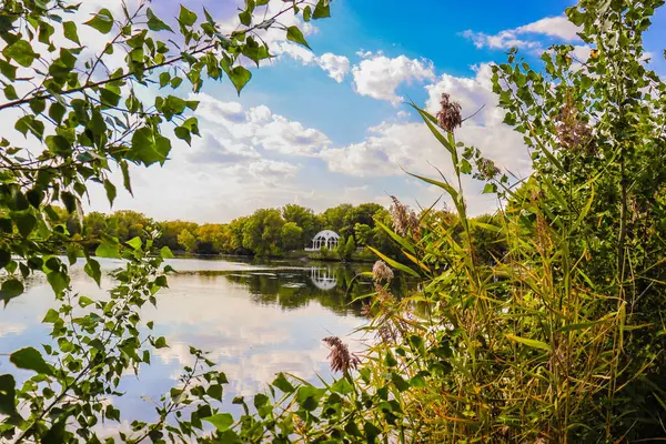 Bulutlu bir gökyüzünün altında ağaçlarla çevrili güzel bir göl manzarası.