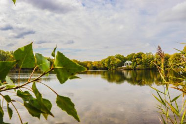 Sonbahar ormanındaki göl