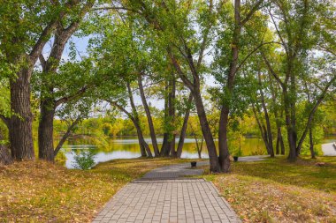 Göl kenarındaki park ve yeşil çimenler.