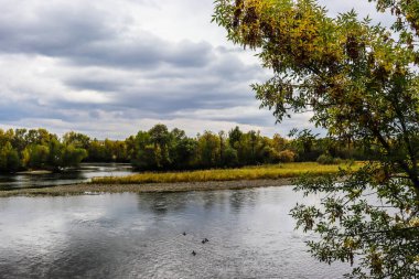 Parktaki güzel sonbahar manzarası