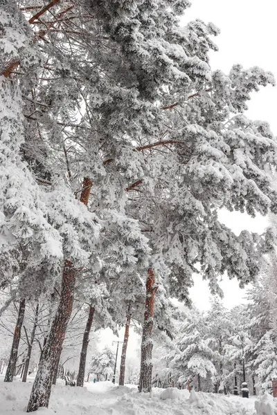 Kar - kışın kış parkını kapladı