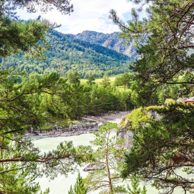 Yazın güzel dağ nehri