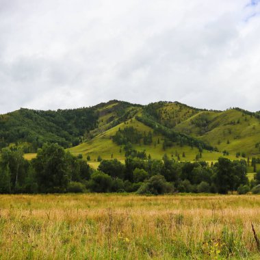 Dağlarda yeşil çimenli bir manzara