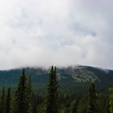 Yazın dağ manzarası