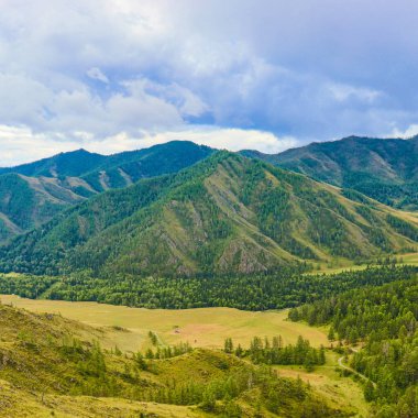Dağlarda yaz manzarası