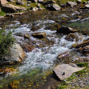 Altai 'nin Clay Dağları, Rusya