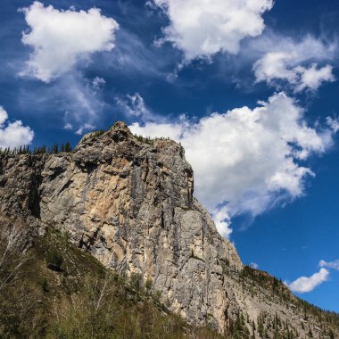 Bulutlu gökyüzünün altında yeşillikle çevrili bir kayanın dikey görüntüsü.