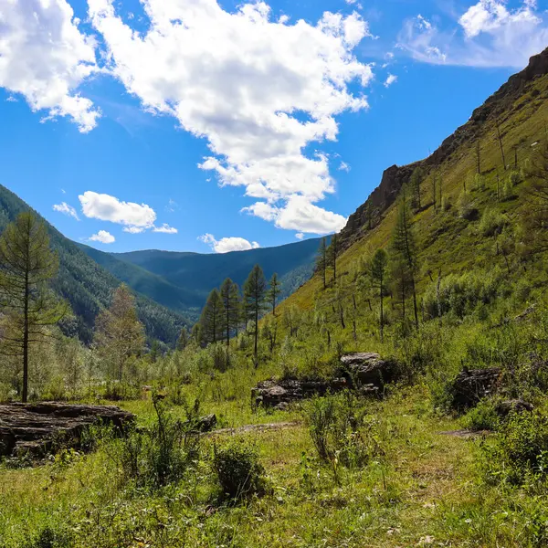Altai Dağları 'nın dağ manzarası, Rusya