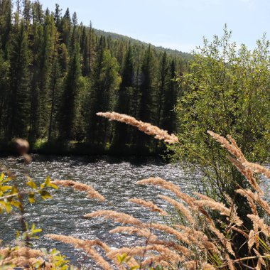 Karelia 'da bir yaz gününde göl
