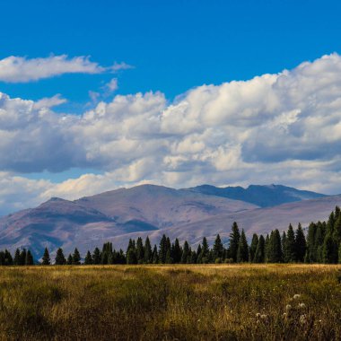 Doğanın güzel manzarası