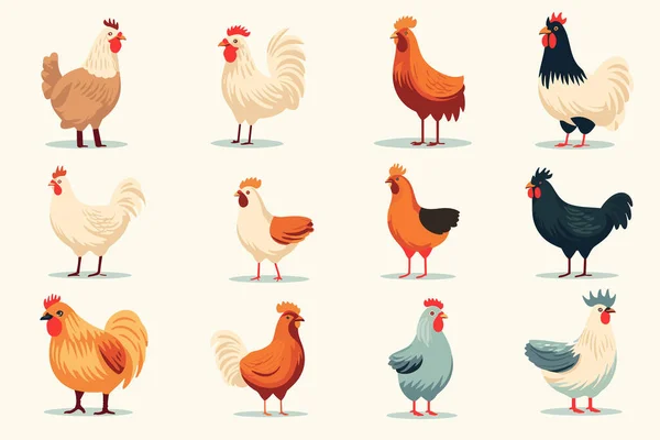 Set Von Weißen Hühnern Auf Der Geflügelfarm Hahn Mit Henne — Stockvektor