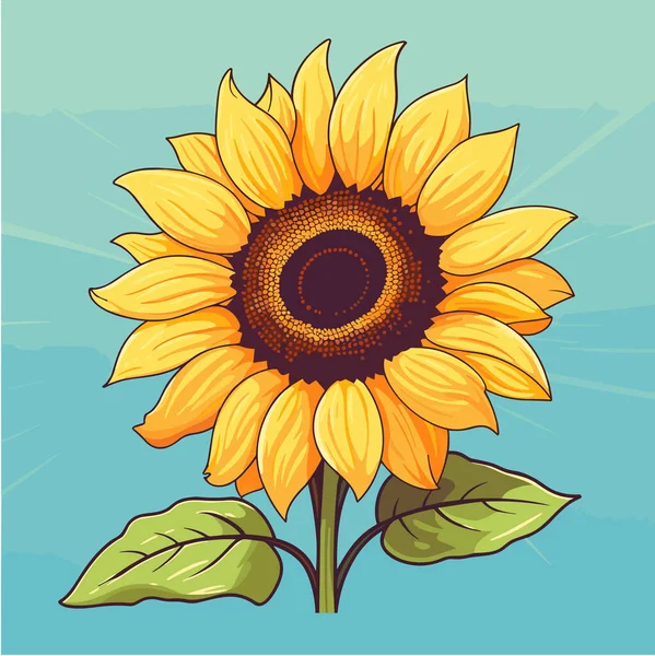 Sunflower flower isolated, summer vector flat illustration.