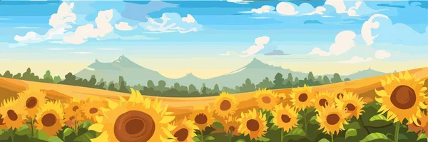 美しい丘のサンフラワーフィールド パノラマ 晴れた夏の日景 ベクターイラスト — ストックベクタ