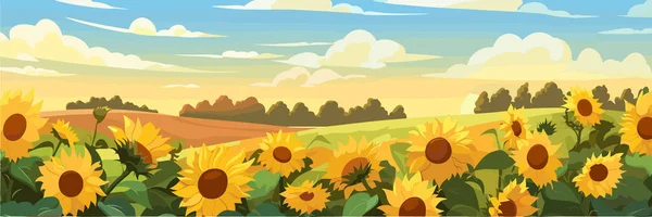 Güzel Tepelerdeki Ayçiçeği Tarlası Panorama Güneşli Yaz Günü Manzarası Vektör — Stok Vektör