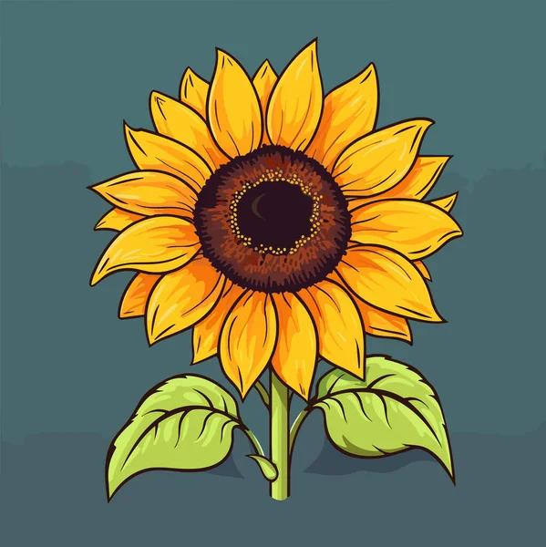 Квітка Соняшнику Ізольована Літо Векторні Плоскі Ілюстрації — стоковий вектор