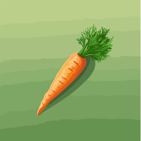 Морковь Целый Овощ Изолирован Нейтральном Фоне Векторная Иллюстрация Продуктов Питания — стоковый вектор
