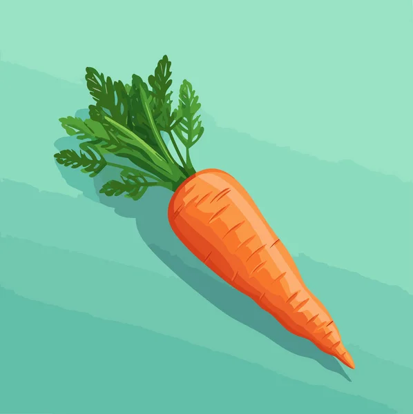 Une Carotte Légumes Entiers Isolé Sur Fond Neutre Illustration Vectorielle — Image vectorielle