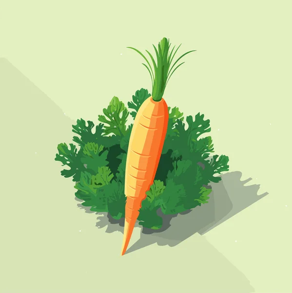 Karotka Celá Zelenina Izolovaný Neutrálním Pozadí Vektorové Jídlo Ilustrace — Stockový vektor