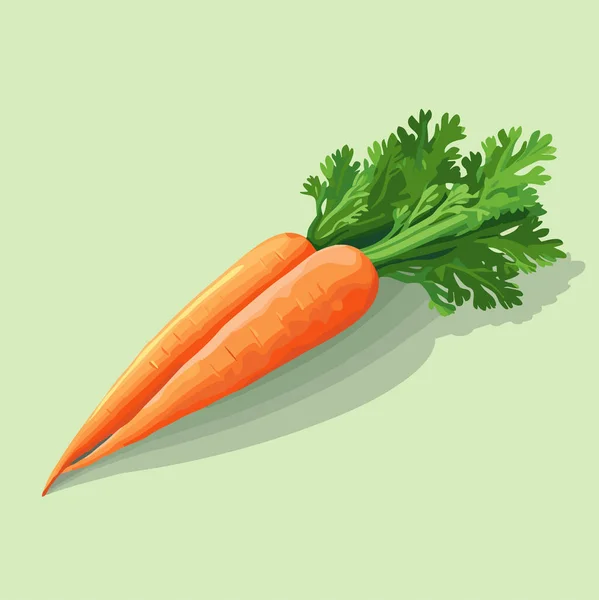 Carrot Whole Vegetable Isolated Neutral Background Vector Food Illustration — Stock Vector