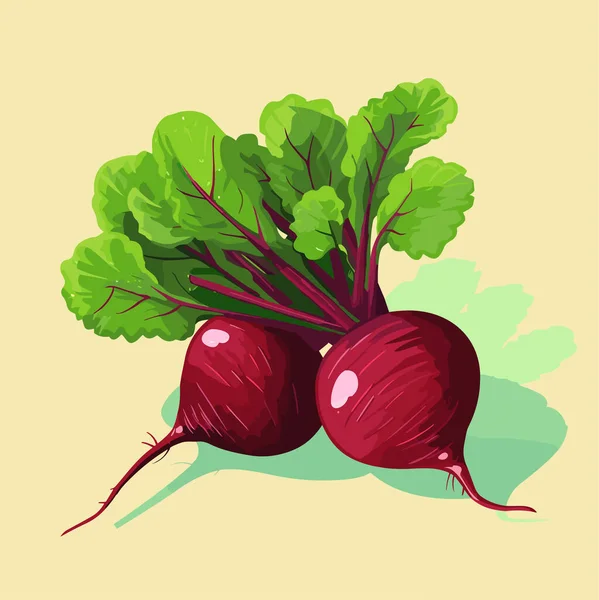 Beetroot Vector Illustration Green Leaves Neutral Background Vector Food Illustration — Stock Vector