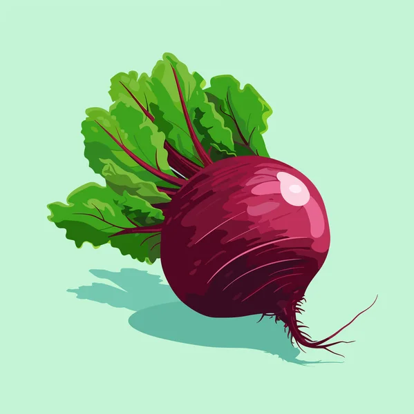 Beetroot Διανυσματική Απεικόνιση Πράσινα Φύλλα Ουδέτερο Φόντο Εικονογράφηση Διανυσματικών Τροφίμων — Διανυσματικό Αρχείο