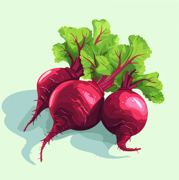 Beetroot Vector Illustration Green Leaves Neutral Background Vector Food Illustration — Stock Vector