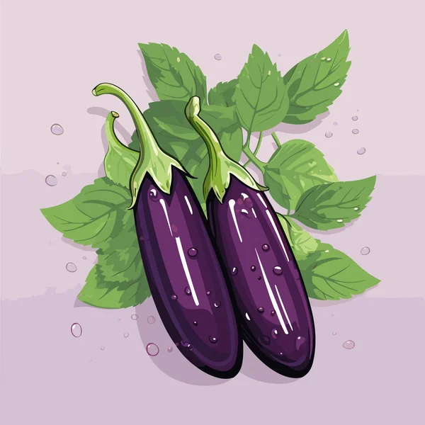 Ripe Juicy Eggplants Vector Illustration — Stock Vector