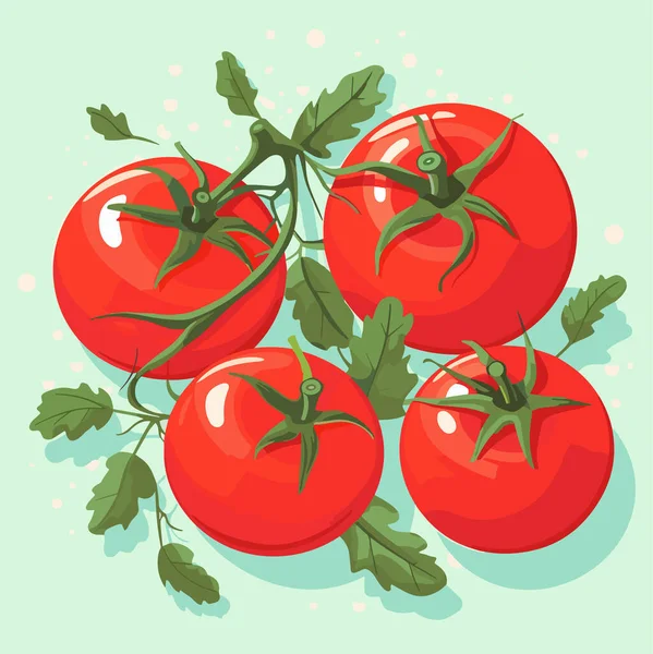 Ripe Red Tomatoes Leaves Vector Illustration — Stock Vector