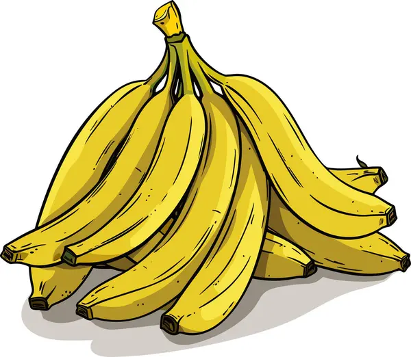 Ein Bündel Reifer Gelber Bananen Isoliert Auf Weißem Hintergrund Vektor — Stockvektor