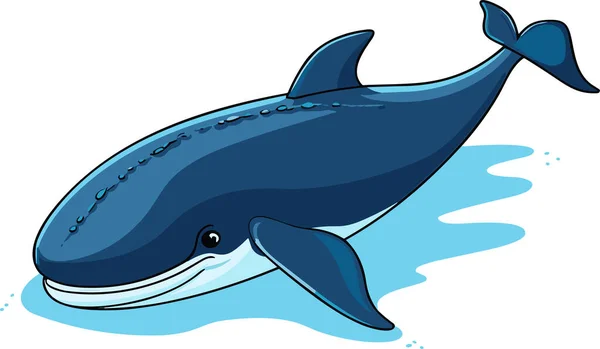 Wieloryb Jako Zwierzę Morskie Pływające Pod Wodą Ilustracja Wektora — Wektor stockowy