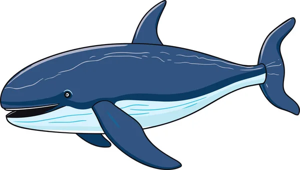 Whale Sea Animal Floating Underwater Vector Illustration — Stock Vector