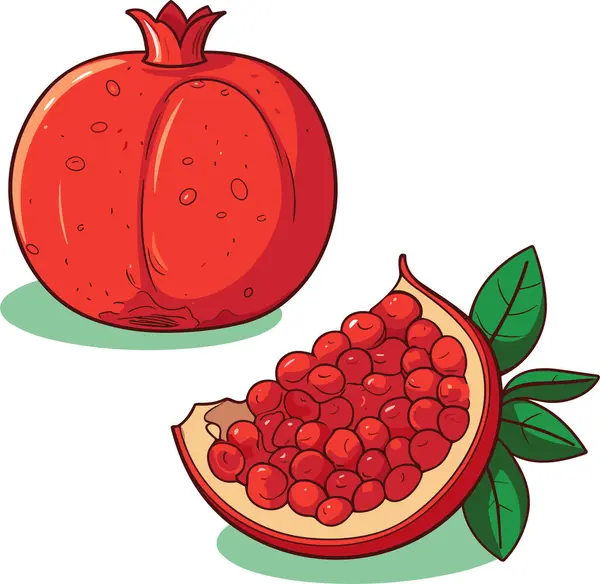 Illustrazione Vettoriale Disegnata Mano Melograno Melograno Frutta Intera Mezza Affettata — Vettoriale Stock