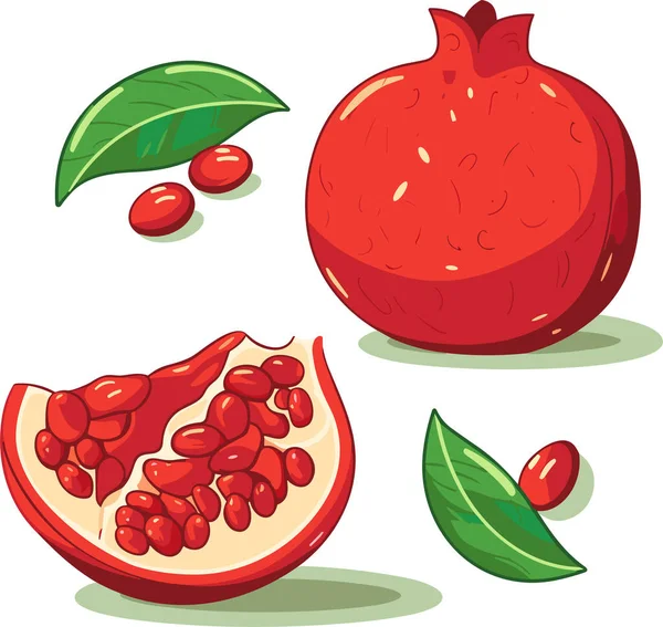 Granátová Jablka Ručně Kreslené Vektorové Ilustrace Granátové Jablko Celé Půl — Stockový vektor