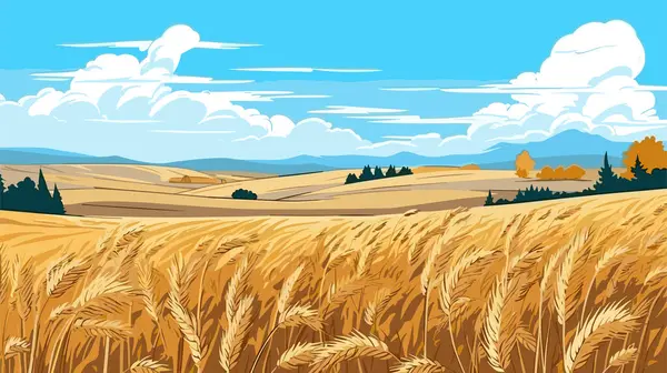 Rural Landscape Ripe Wheat Fields Blue Sky Background Sunny Autumn — Stock Vector