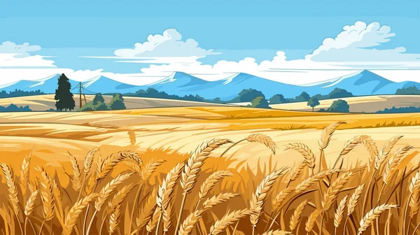 熟した小麦畑と青空を背景にした農村風景 晴れた秋の日 ベクトルイラスト — ストックベクタ